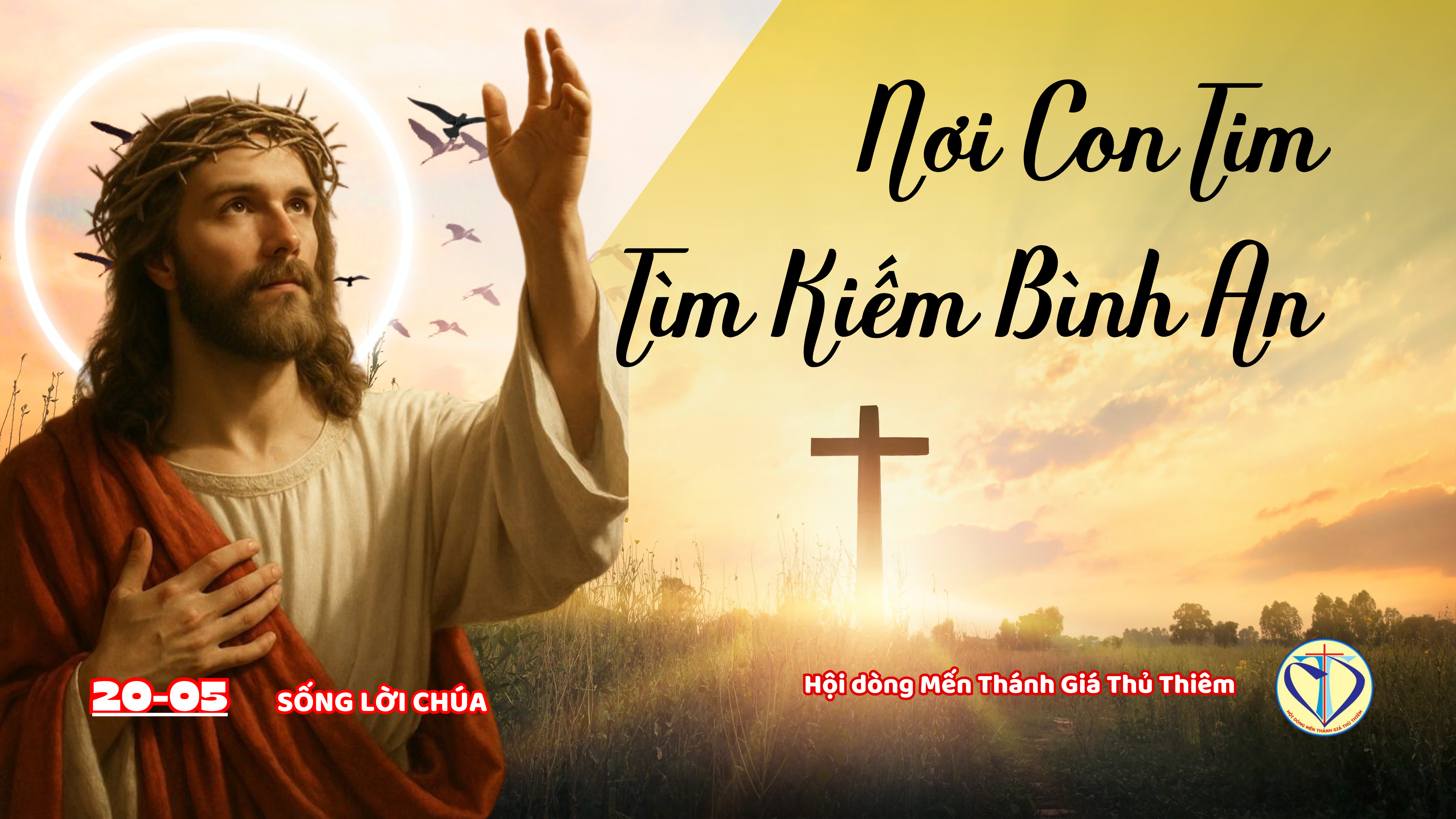 Nơi con tim tìm kiếm bình an