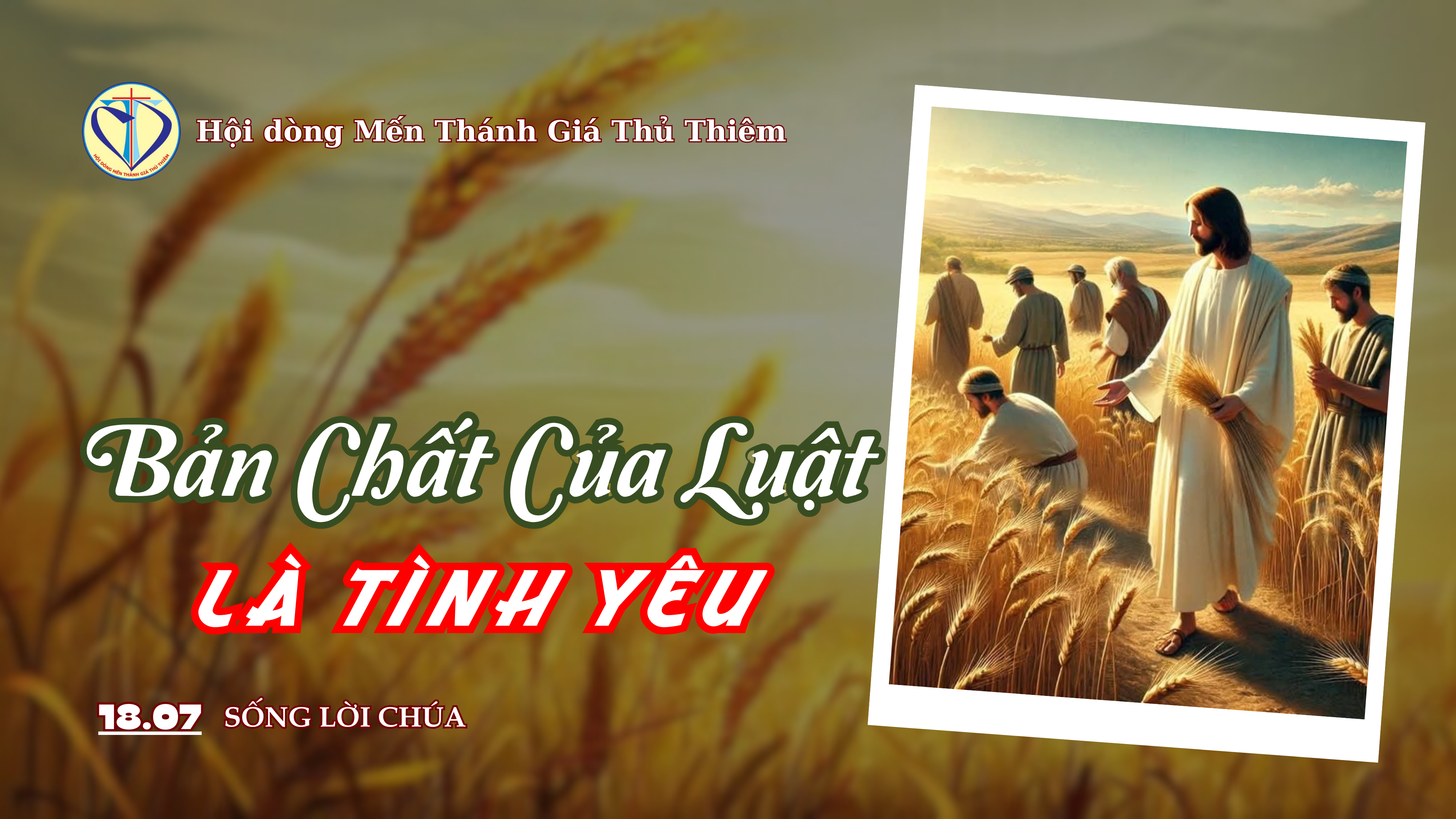 bản chất của luật là tình yêu