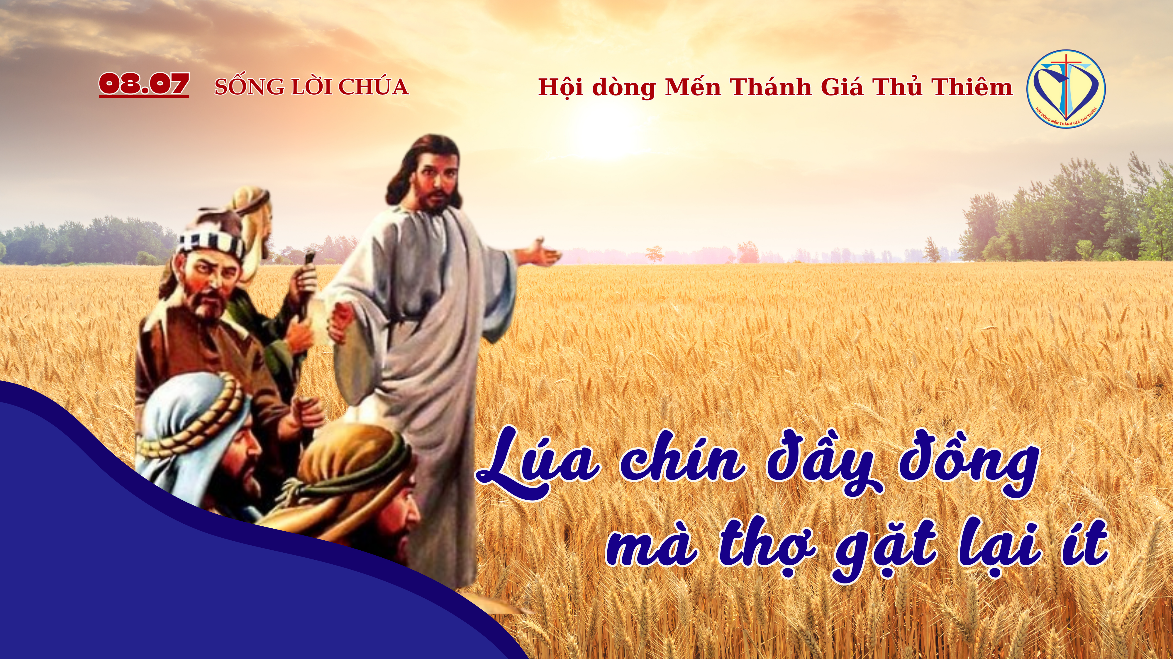 lúa chín đầy đồng mà thợ gặt lại ít