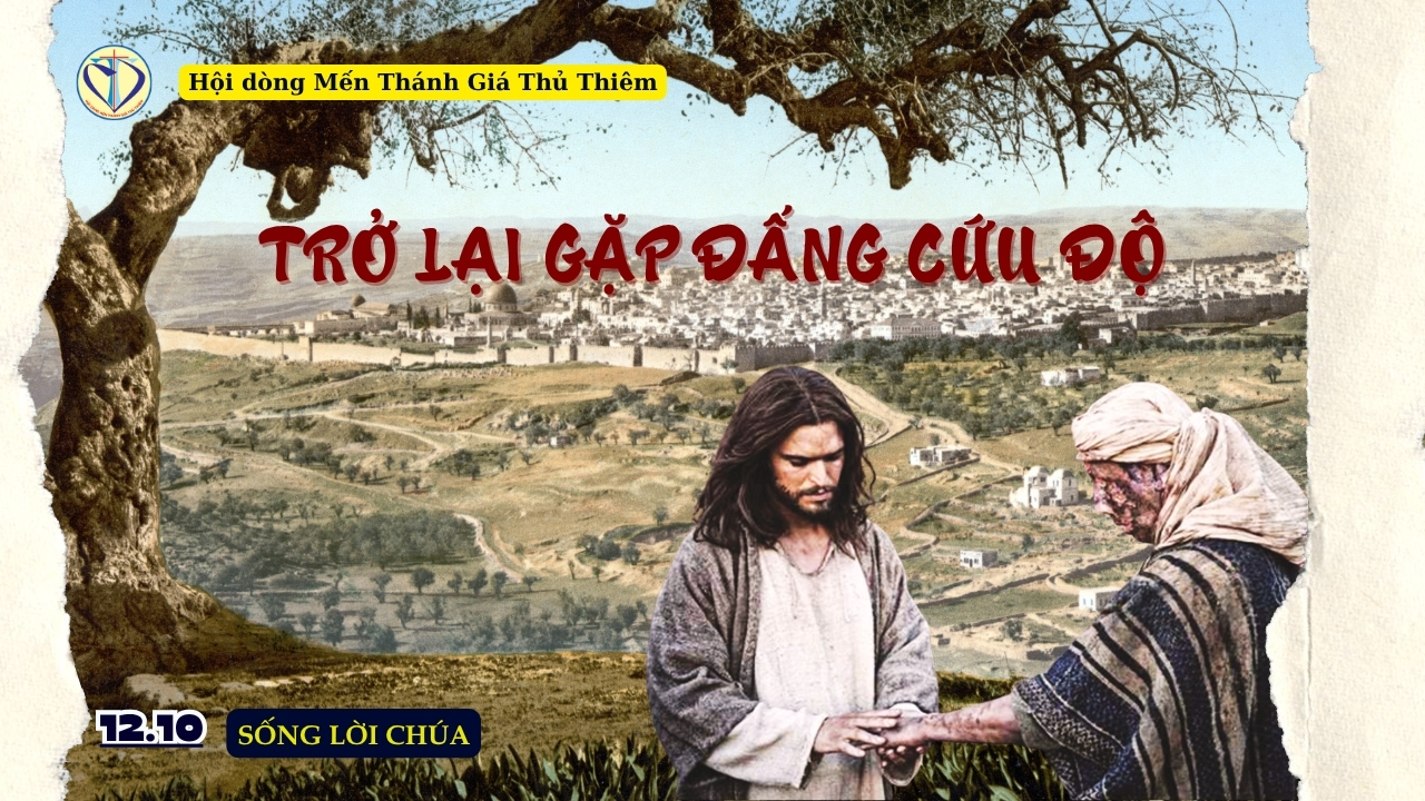 TRỞ LẠI GẶP ĐẤNG CỨU ĐỘ