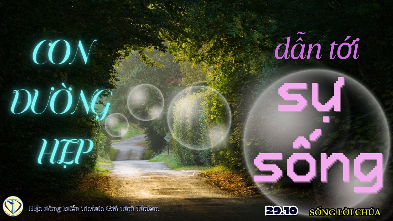 CON ĐƯỜNG HẸP DẪN ĐẾN SỰ SỐNG