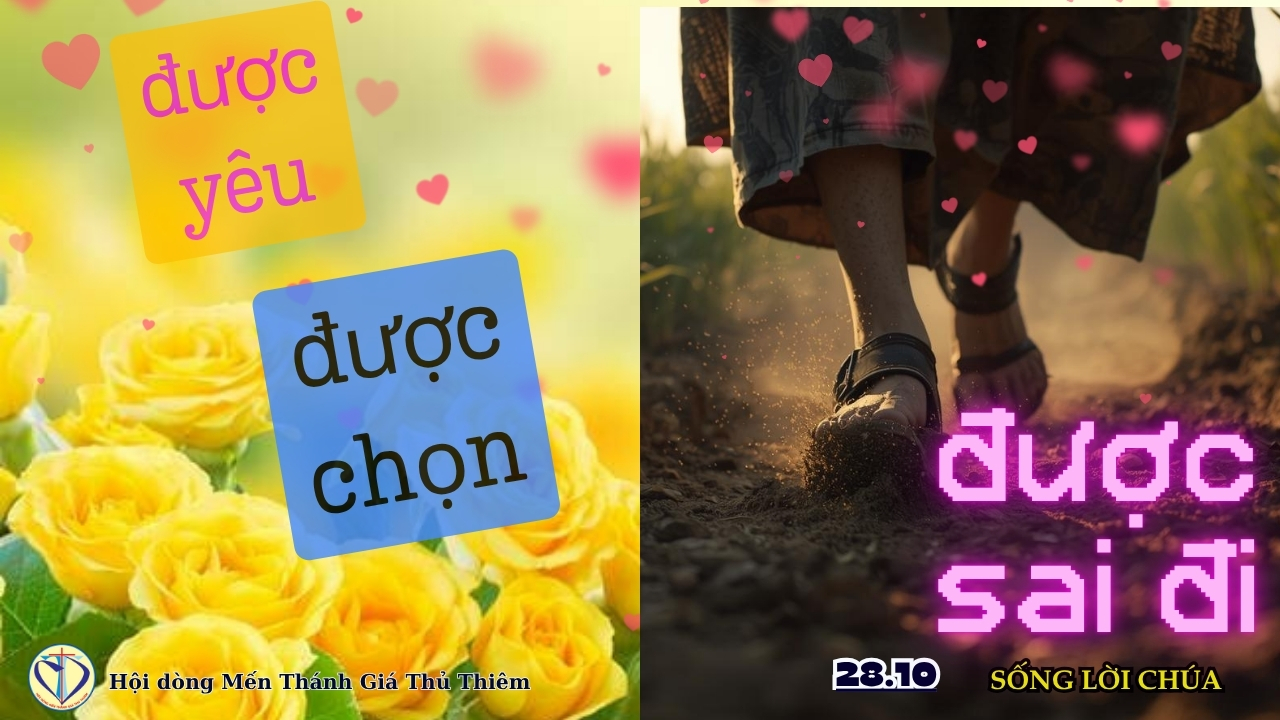 ĐƯỢC YÊU, ĐƯỢC CHỌN VÀ ĐƯỢC SAI ĐI