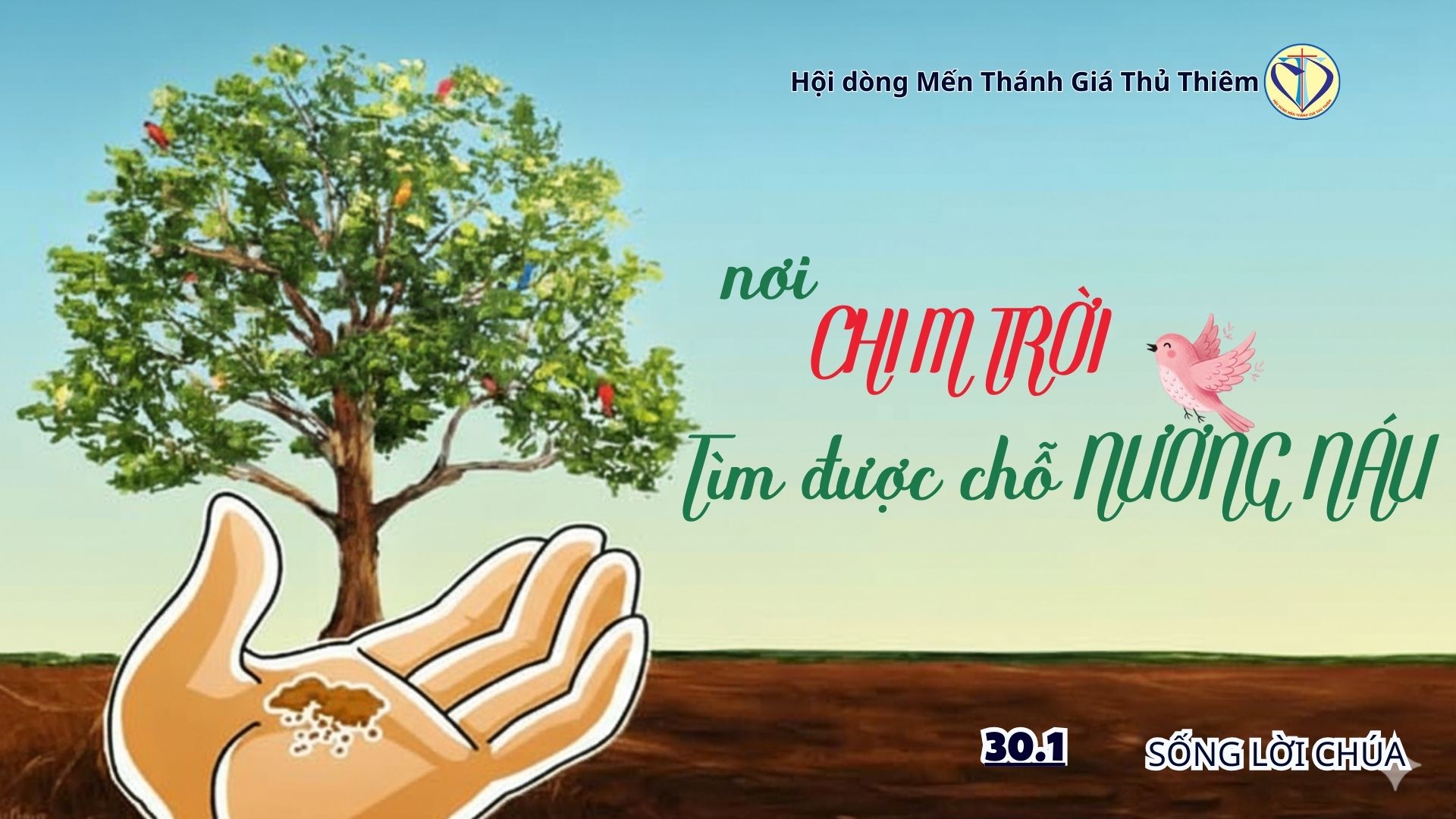 NƠI CHIM TRỜI TÌM ĐƯỢC CHỖ NƯƠNG NÁU