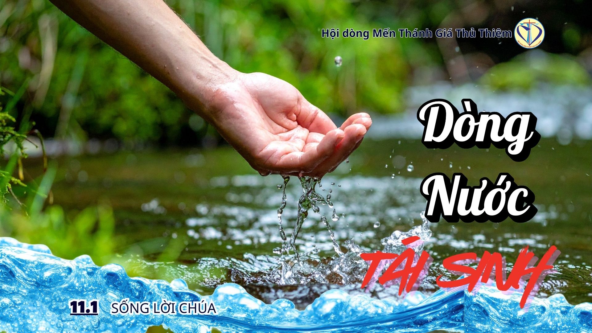 DÒNG NƯỚC TÁI SINH