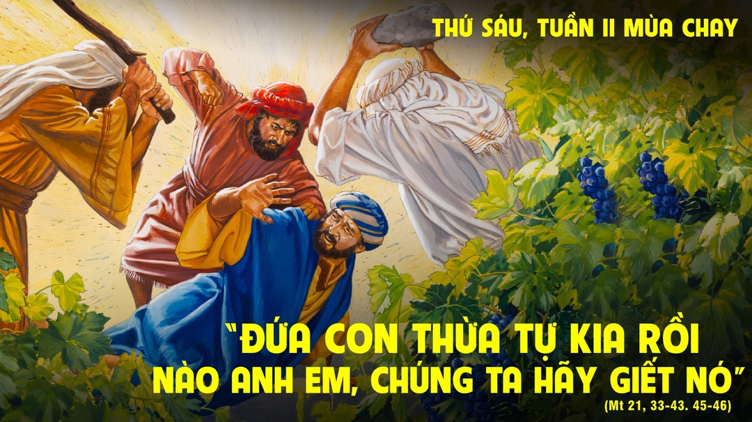 Vườn Nho Được Trao Và Trách Nhiệm Sinh Hoa Lợi