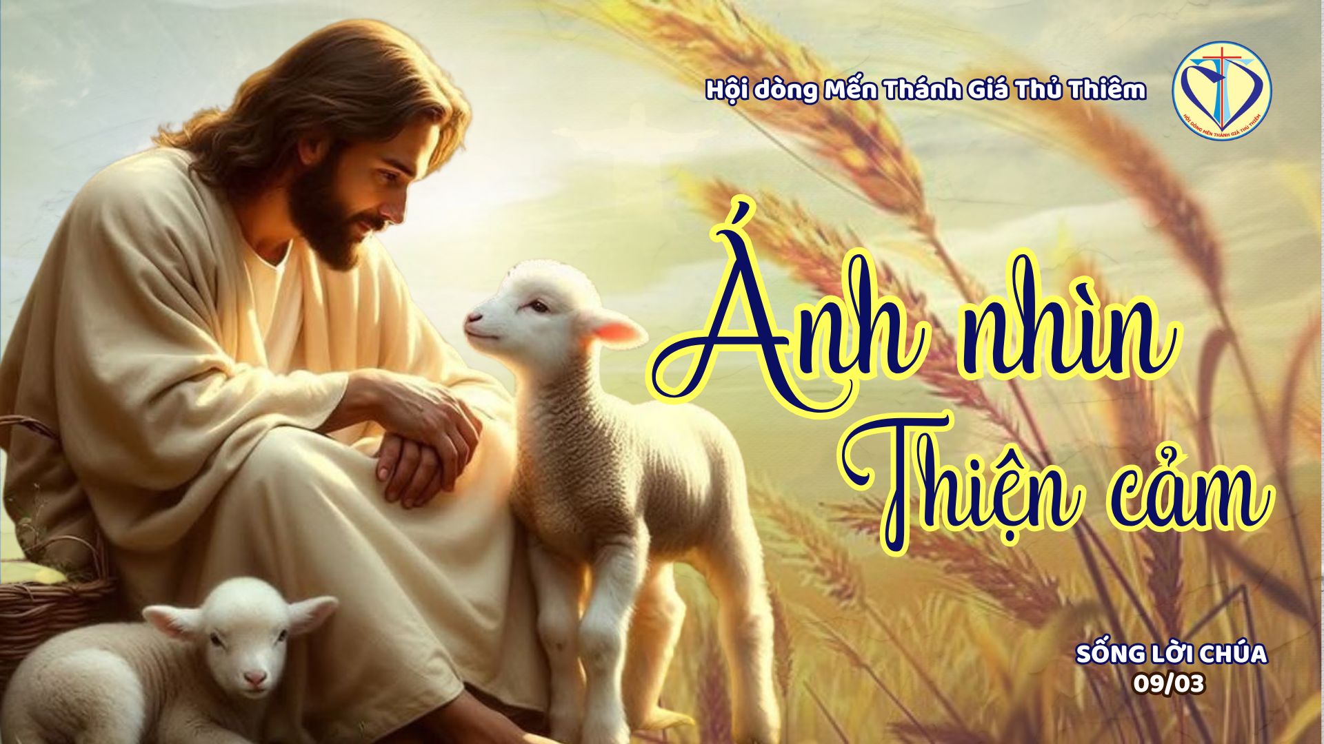 Ánh nhìn thiện cảm 